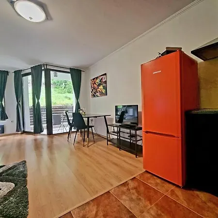 Studio Five Apartment Pamporovo