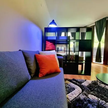 Studio Five Apartment Pamporovo