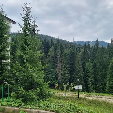 Studio Five Pamporovo